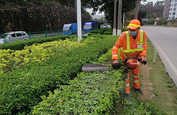 深圳市寶安區(qū)洲石公路（航城段）及鶴州立交周邊道路清掃保潔和綠化管養(yǎng)綜合服務(wù)項(xiàng)目